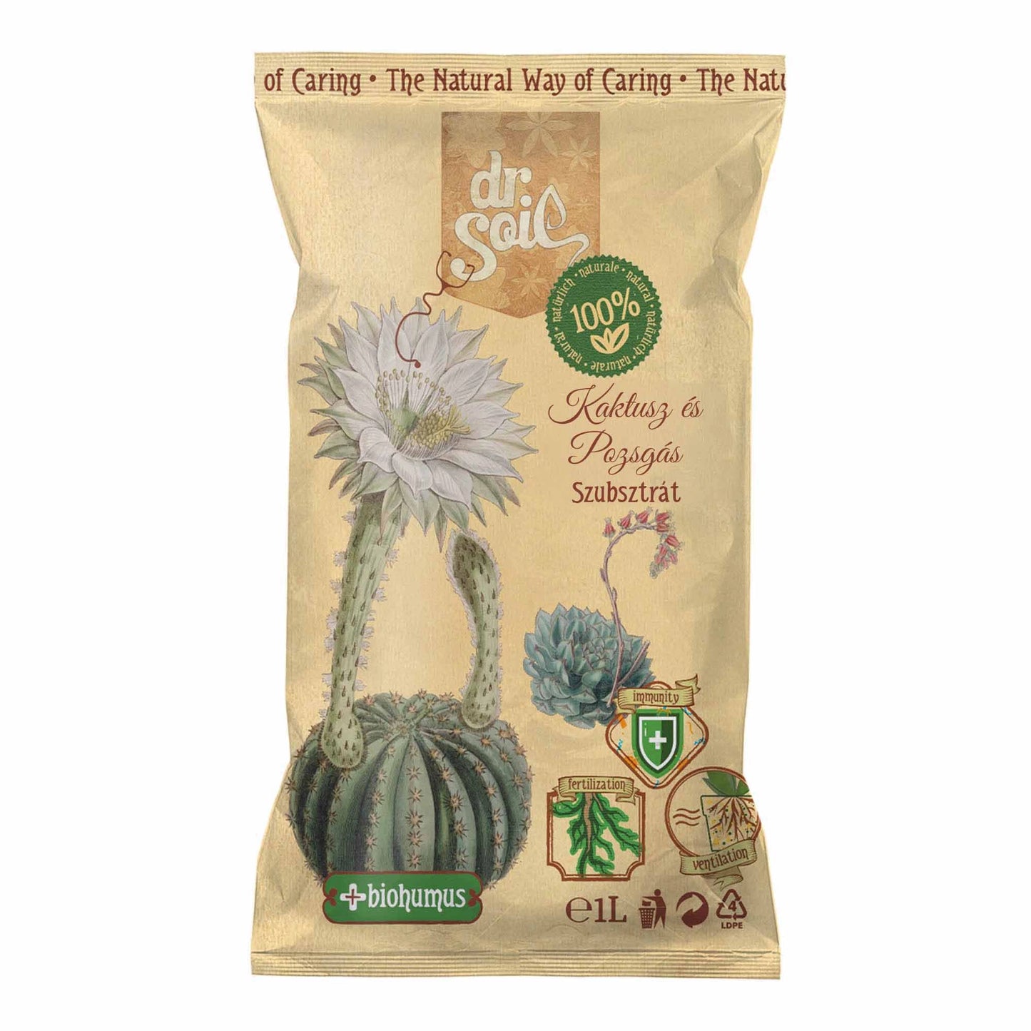 Dr.Soil Substrat Kakteen und Sukkulenten - 1 l