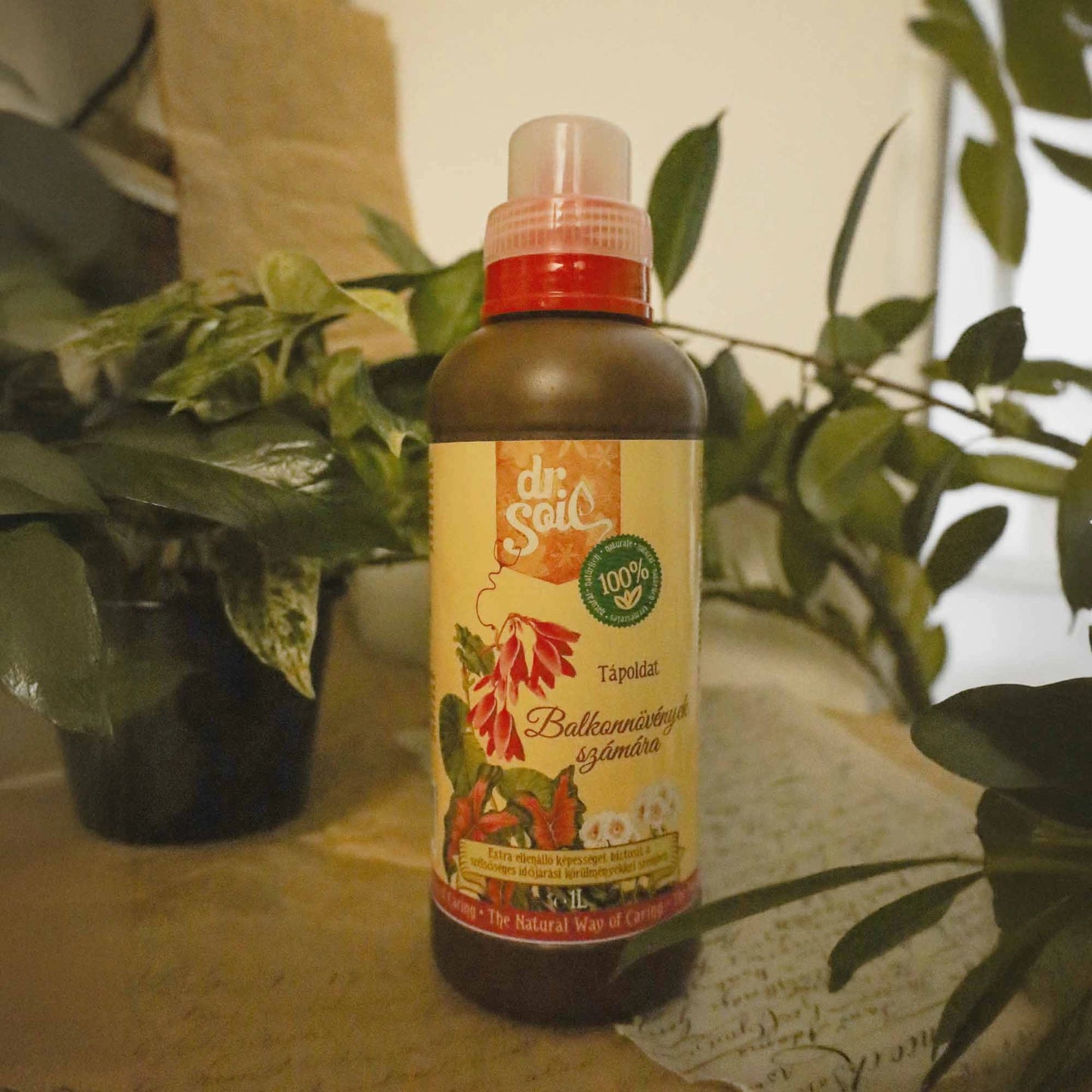 Dr. Soil Organischer Flüssidünger für Balkonpflanzen - 1 l