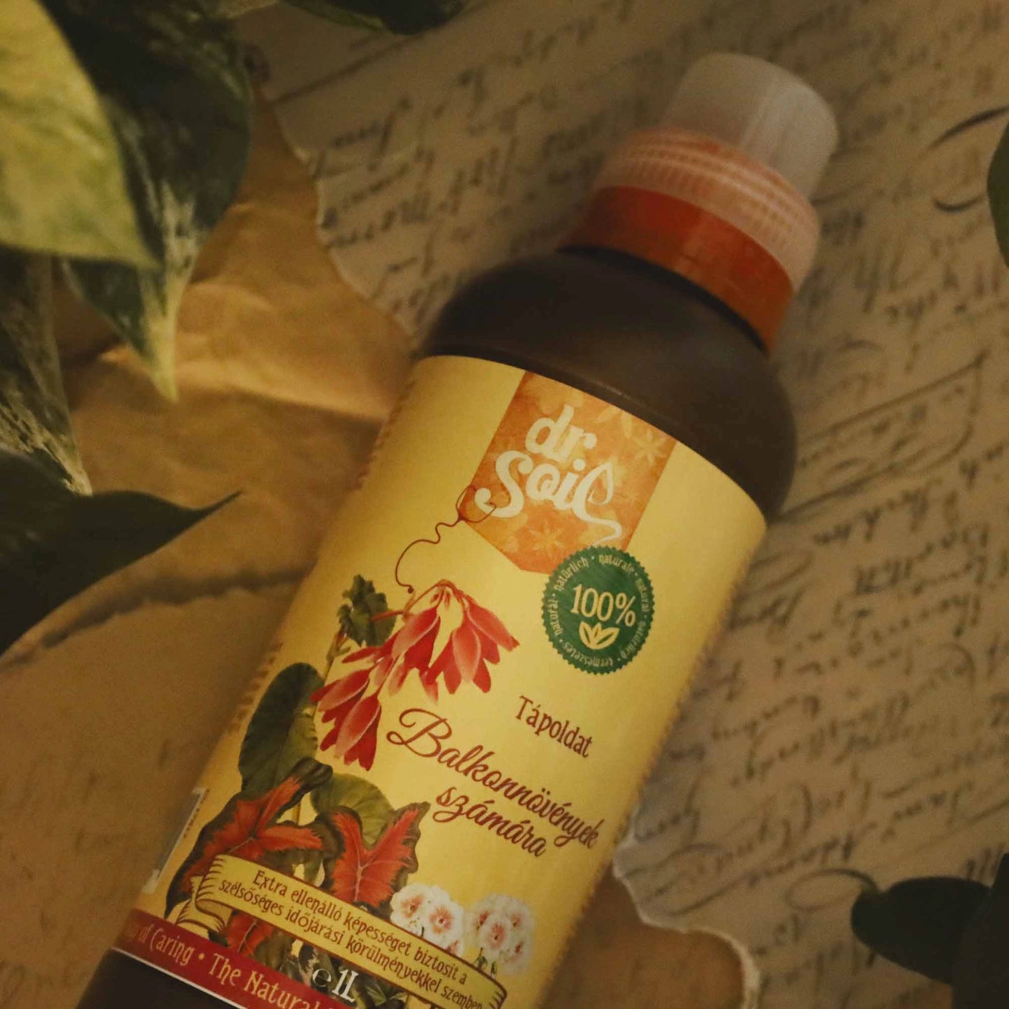 Dr. Soil Organischer Flüssidünger für Balkonpflanzen - 1 l