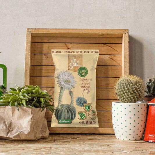 Dr.Soil Substrat Kakteen und Sukkulenten - 1 l