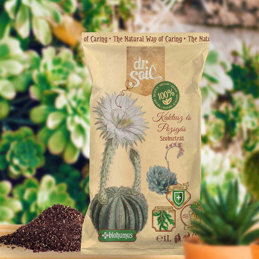 Dr.Soil Substrat Kakteen und Sukkulenten - 1 l
