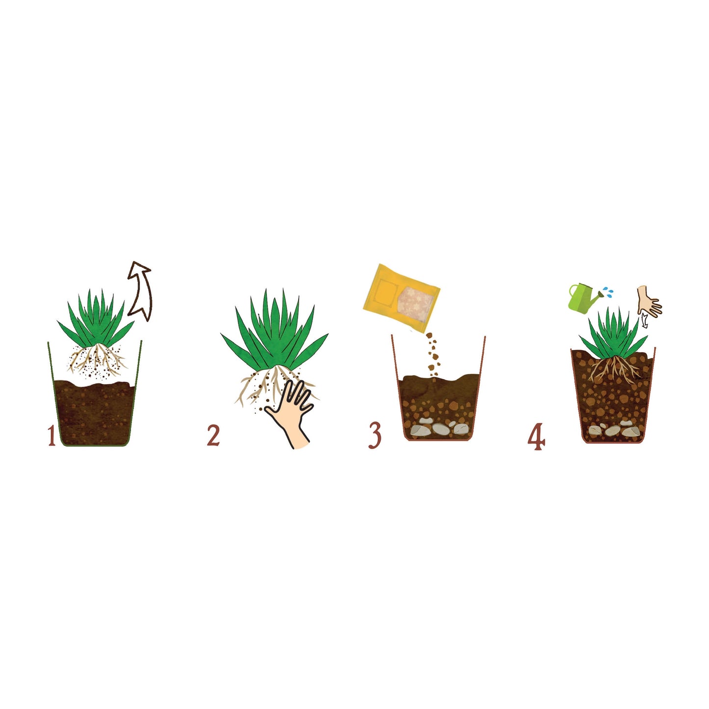 Dr.Soil Substrat Kakteen und Sukkulenten - 1 l