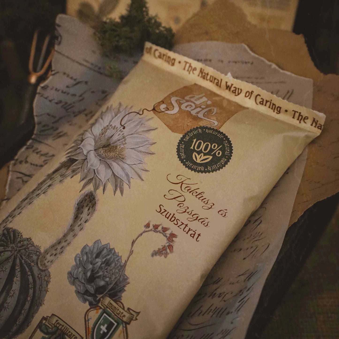 Dr.Soil Substrat Kakteen und Sukkulenten - 1 l