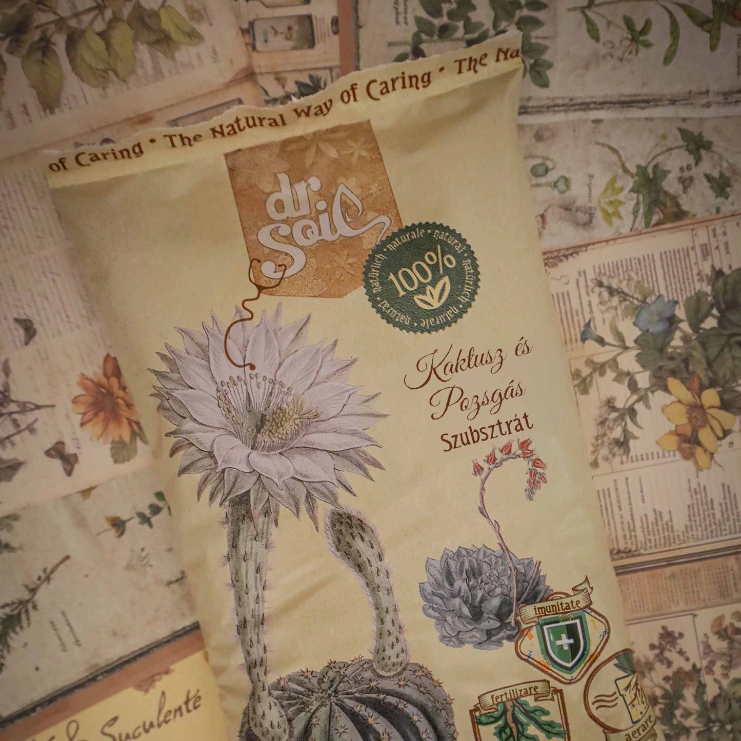 Dr.Soil Substrat Kakteen und Sukkulenten - 1 l