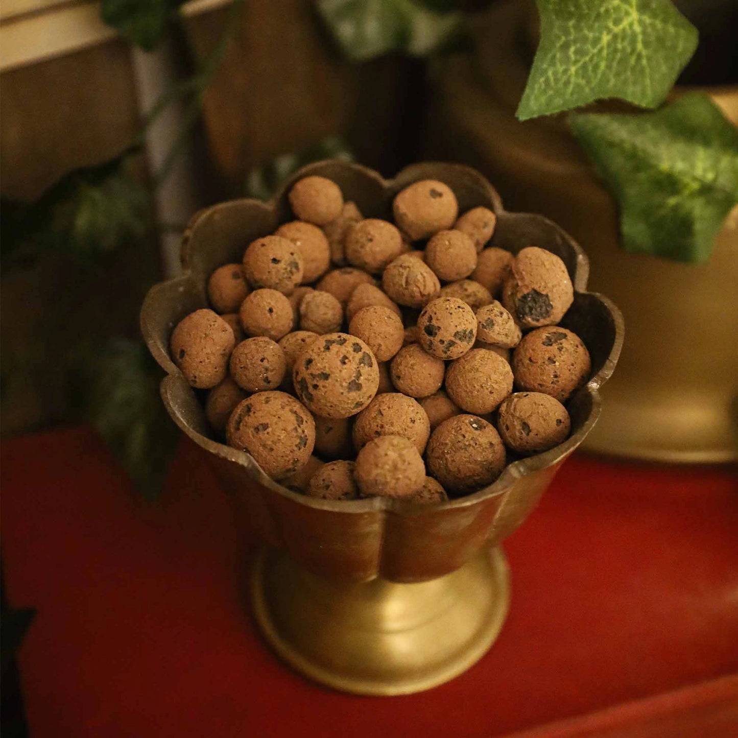 Dr.Soil Blähton - 1 l