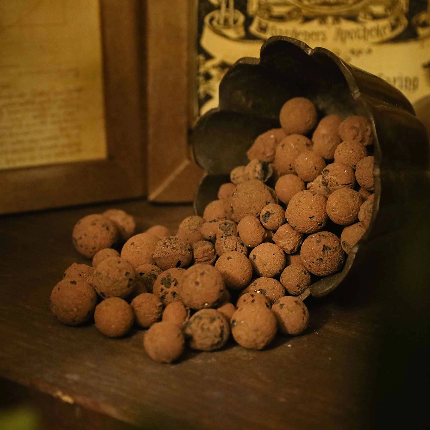 Dr.Soil Blähton - 1 l